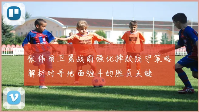 张伟丽卫冕战前强化摔跤防守策略解析对手地面缠斗的胜负关键