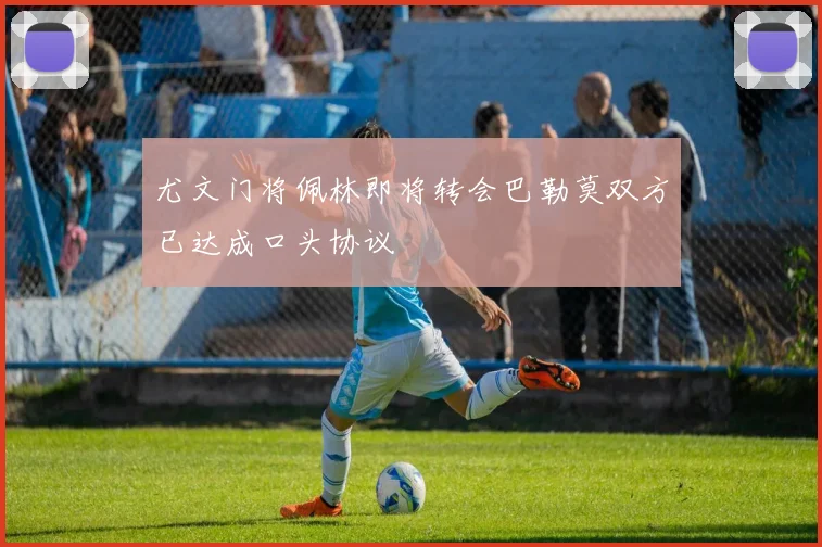 尤文门将佩林即将转会巴勒莫双方已达成口头协议